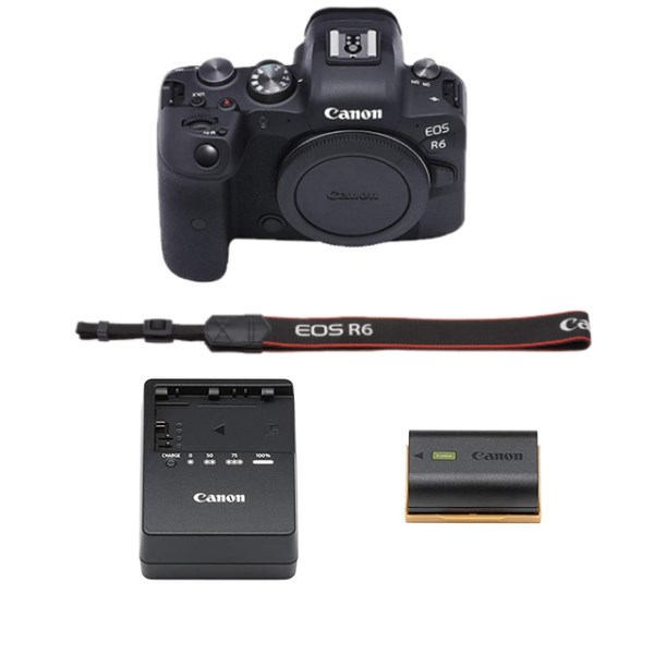 Новый беззеркальная камера Canon EOS R6 с видеокамерой 4K Full-Frame CMOS Senor и до 12 кадров в секунду с механическим затвором (только корпус)