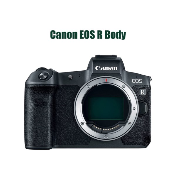 Новый беззеркальная профессиональная фотокамера Canon EOS R флагманская флип-камера с сенсорным экраном только корпус