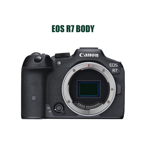 Новый EOS R7 APS-C 4K 60fps Log3 5-осевой противоударный флип сенсорный экран беззеркальная камера 32,5 МП мегапиксельная видеокамера